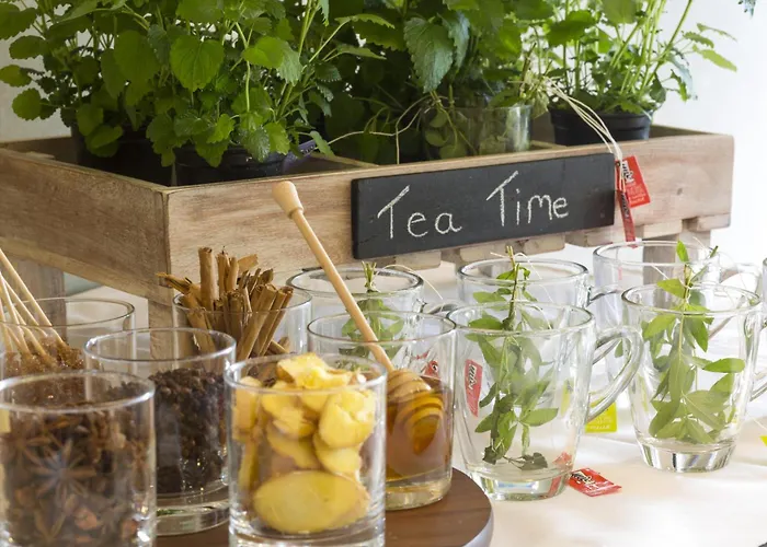 Nh Noordwijk Conference Centre Leeuwenhorst Ξενοδοχείο 4*